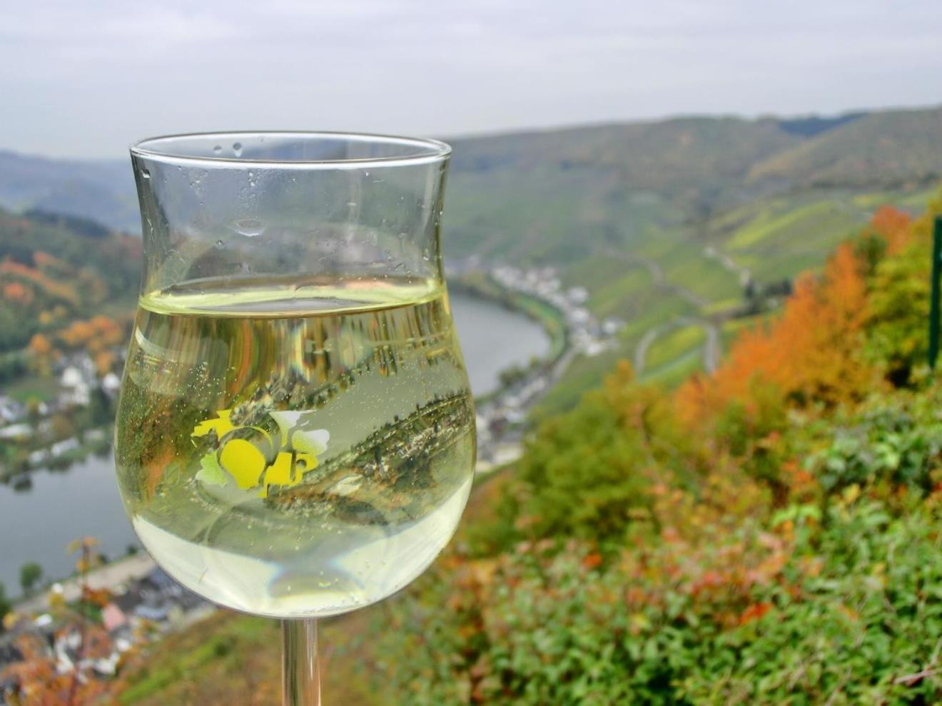 Mosel Ferienhaus Zell Exteriör bild